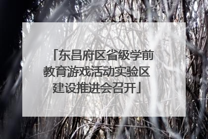东昌府区省级学前教育游戏活动实验区建设推进会召开