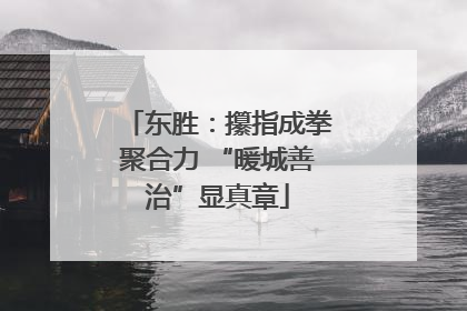 东胜：攥指成拳聚合力 “暖城善治”显真章