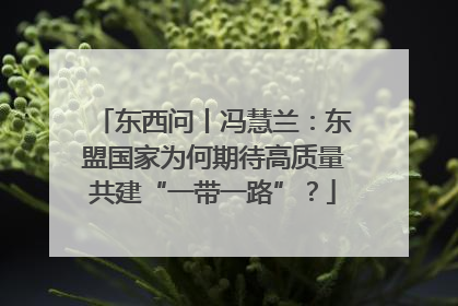 东西问丨冯慧兰：东盟国家为何期待高质量共建“一带一路”？