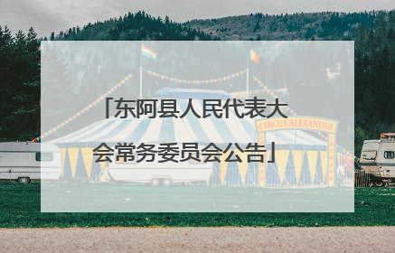 东阿县人民代表大会常务委员会公告
