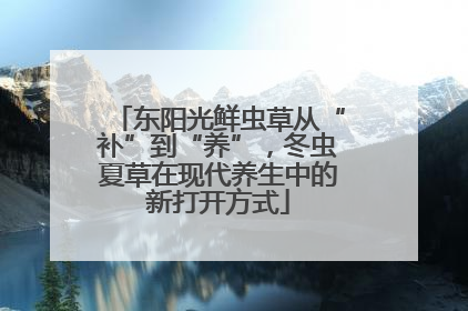 东阳光鲜虫草从“补”到“养”，冬虫夏草在现代养生中的新打开方式