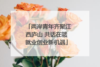 两岸青年齐聚江西庐山 共话在赣就业创业新机遇