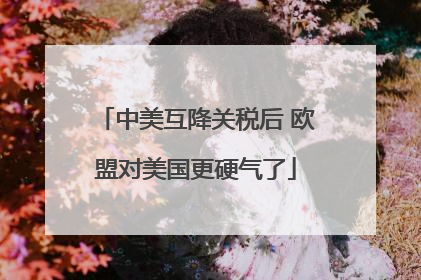 中美互降关税后 欧盟对美国更硬气了