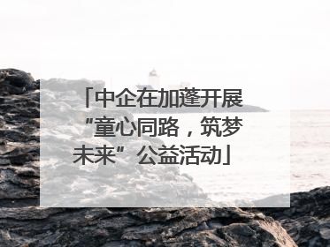 中企在加蓬开展“童心同路，筑梦未来”公益活动