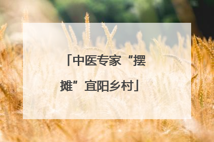 中医专家“摆摊”宜阳乡村