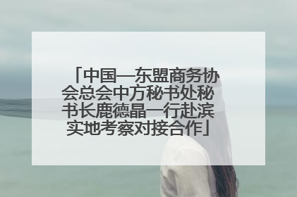 中国—东盟商务协会总会中方秘书处秘书长鹿德晶一行赴滨实地考察对接合作