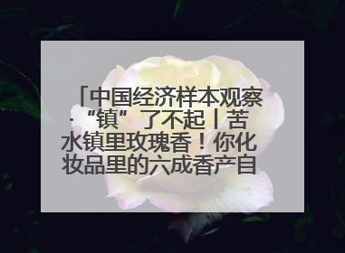 中国经济样本观察·“镇”了不起丨苦水镇里玫瑰香！你化妆品里的六成香产自这个小镇