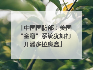 中国国防部：美国“金穹”系统犹如打开潘多拉魔盒