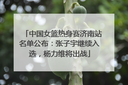 中国女篮热身赛济南站名单公布：张子宇继续入选，杨力维将出战