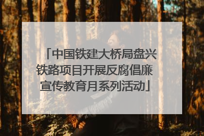 中国铁建大桥局盘兴铁路项目开展反腐倡廉宣传教育月系列活动