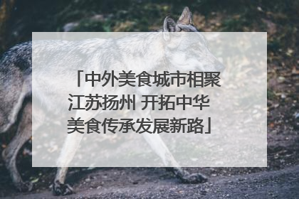中外美食城市相聚江苏扬州 开拓中华美食传承发展新路