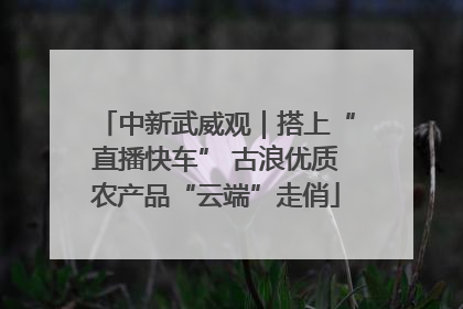 中新武威观｜搭上“直播快车” 古浪优质农产品“云端”走俏