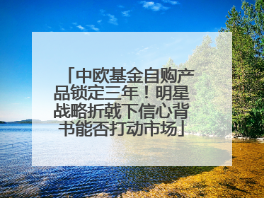 中欧基金自购产品锁定三年！明星战略折戟下信心背书能否打动市场
