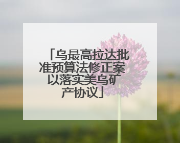 乌最高拉达批准预算法修正案 以落实美乌矿产协议