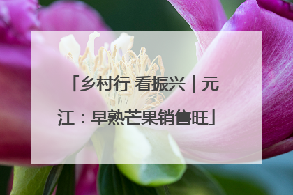 乡村行 看振兴｜元江：早熟芒果销售旺
