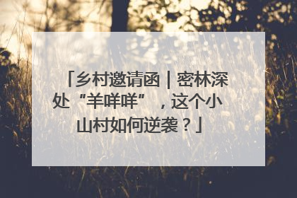 乡村邀请函｜密林深处“羊咩咩”，这个小山村如何逆袭？