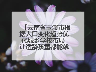 云南省玉溪市根据人口变化趋势优化城乡学校布局 让适龄孩童都能就近就便上好学