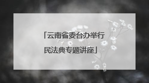 云南省委台办举行民法典专题讲座