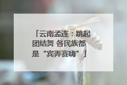 云南孟连：跳起团结舞 各民族都是“宾弄赛嗨”