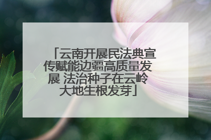 云南开展民法典宣传赋能边疆高质量发展 法治种子在云岭大地生根发芽