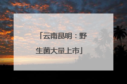 云南昆明：野生菌大量上市