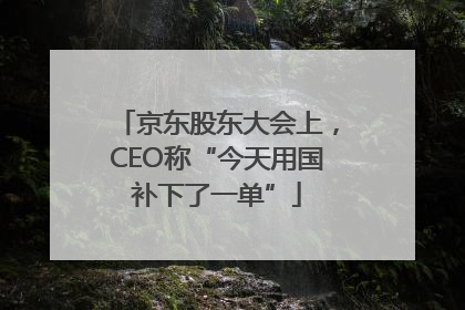 京东股东大会上，CEO称“今天用国补下了一单”