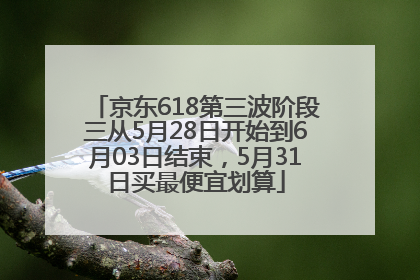 京东618第三波阶段三从5月28日开始到6月03日结束，5月31日买最便宜划算