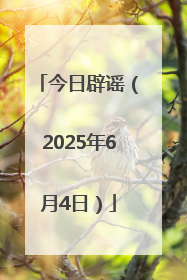 今日辟谣（2025年6月4日）
