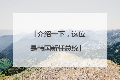 介绍一下，这位是韩国新任总统