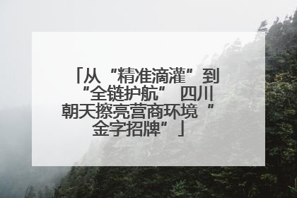 从“精准滴灌”到“全链护航” 四川朝天擦亮营商环境“金字招牌”