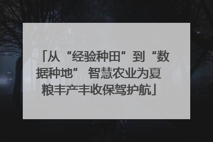 从“经验种田”到“数据种地” 智慧农业为夏粮丰产丰收保驾护航