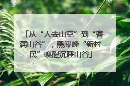 从“人去山空”到“客满山谷”，黑麋峰“新村民”唤醒沉睡山谷