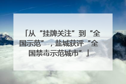 从“挂牌关注”到“全国示范”，盐城获评“全国禁毒示范城市”