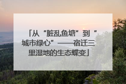 从“脏乱鱼塘”到“城市绿心”——宿迁三里湿地的生态蝶变