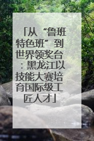 从“鲁班特色班”到世界领奖台：黑龙江以技能大赛培育国际级工匠人才