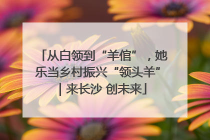 从白领到“羊倌”，她乐当乡村振兴“领头羊”｜来长沙 创未来