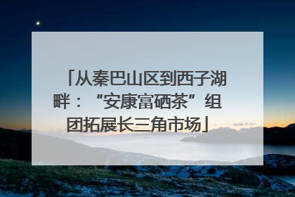 从秦巴山区到西子湖畔：“安康富硒茶”组团拓展长三角市场