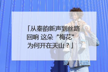 从秦韵新声到丝路回响 这朵“梅花”为何开在天山？