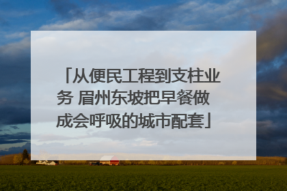 从便民工程到支柱业务 眉州东坡把早餐做成会呼吸的城市配套