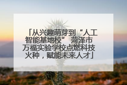 从兴趣萌芽到“人工智能基地校” 菏泽市万福实验学校点燃科技火种，赋能未来人才