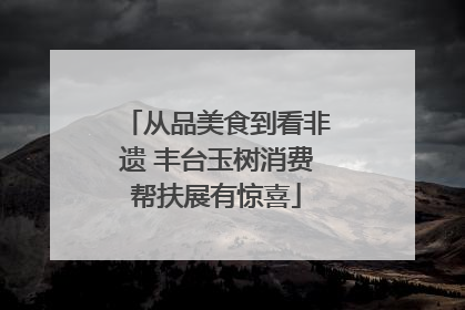 从品美食到看非遗 丰台玉树消费帮扶展有惊喜