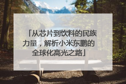 从芯片到饮料的民族力量，解析小米东鹏的全球化高光之路