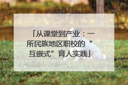 从课堂到产业：一所民族地区职校的“互嵌式”育人实践