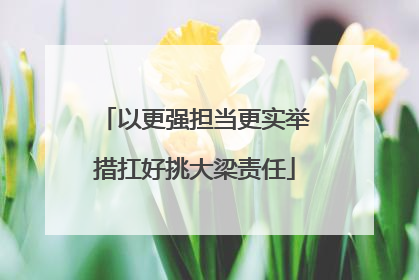 以更强担当更实举措扛好挑大梁责任
