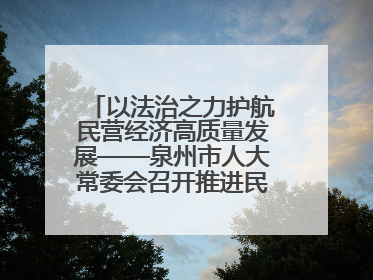 以法治之力护航民营经济高质量发展——泉州市人大常委会召开推进民营经济促进法贯彻实施座谈会