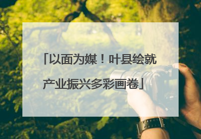 以面为媒！叶县绘就产业振兴多彩画卷