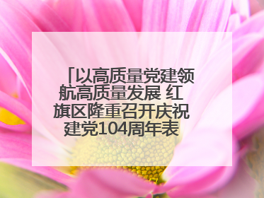 以高质量党建领航高质量发展 红旗区隆重召开庆祝建党104周年表彰大会