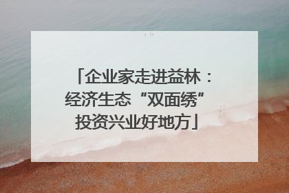 企业家走进益林：经济生态“双面绣” 投资兴业好地方