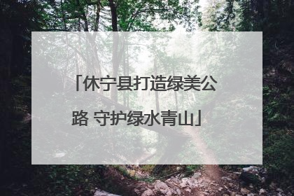 休宁县打造绿美公路 守护绿水青山