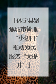 休宁县聚焦城市管理“小切口” 推动为民服务“大提升”